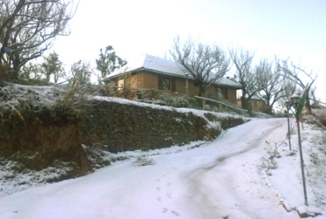 Oyo 43476 Vatika Resort 심라 외부 사진